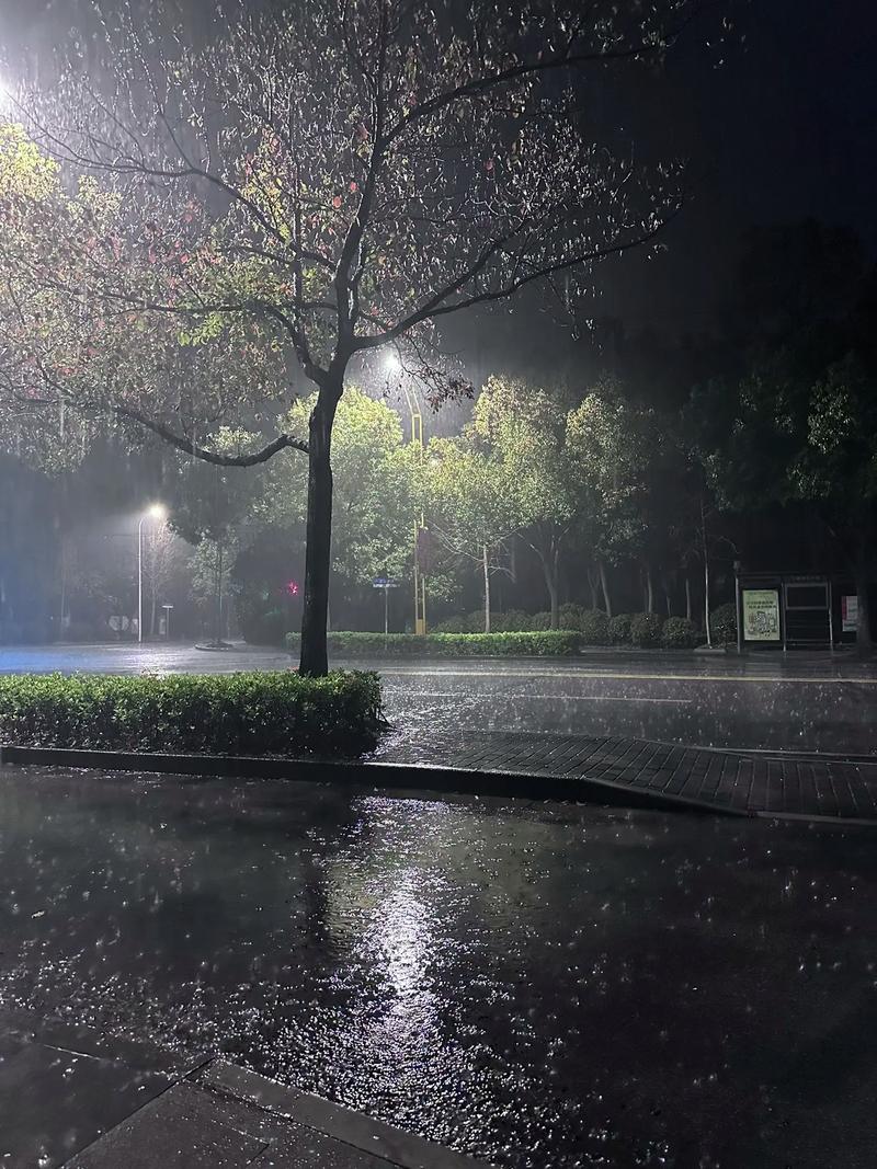 下雨天开车出行模板图 - 下雨天开车出行的说说-第6张图片-微云百科 下雨天开车出行模板图 - 下雨天开车出行的说说-第6张图片-微云百科