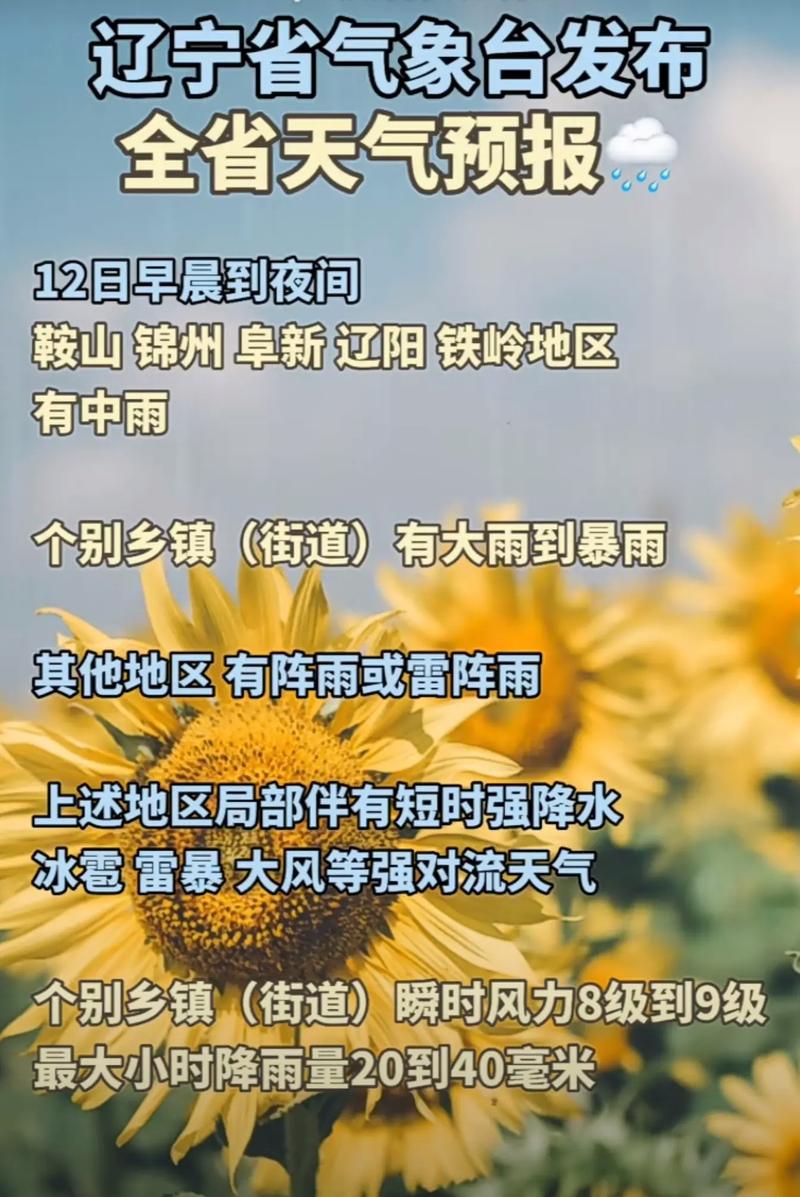 七台河天气,七台河天气预报未来15天-第3张图片-微云百科 七台河天气,七台河天气预报未来15天-第3张图片-微云百科