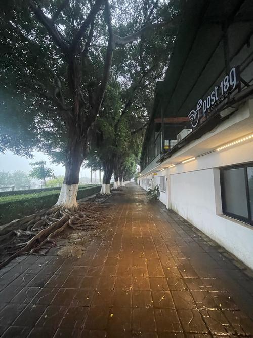 下雨可以出行吗(下雨能不能出去玩)-第4张图片-微云百科 下雨可以出行吗(下雨能不能出去玩)-第4张图片-微云百科