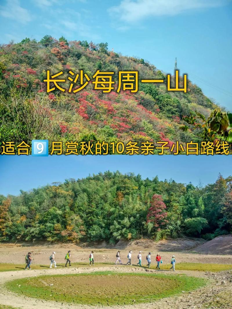 自驾车括苍山旅游攻略 - 括苍山旅游攻略非自驾游-第5张图片-微云百科 自驾车括苍山旅游攻略 - 括苍山旅游攻略非自驾游-第5张图片-微云百科
