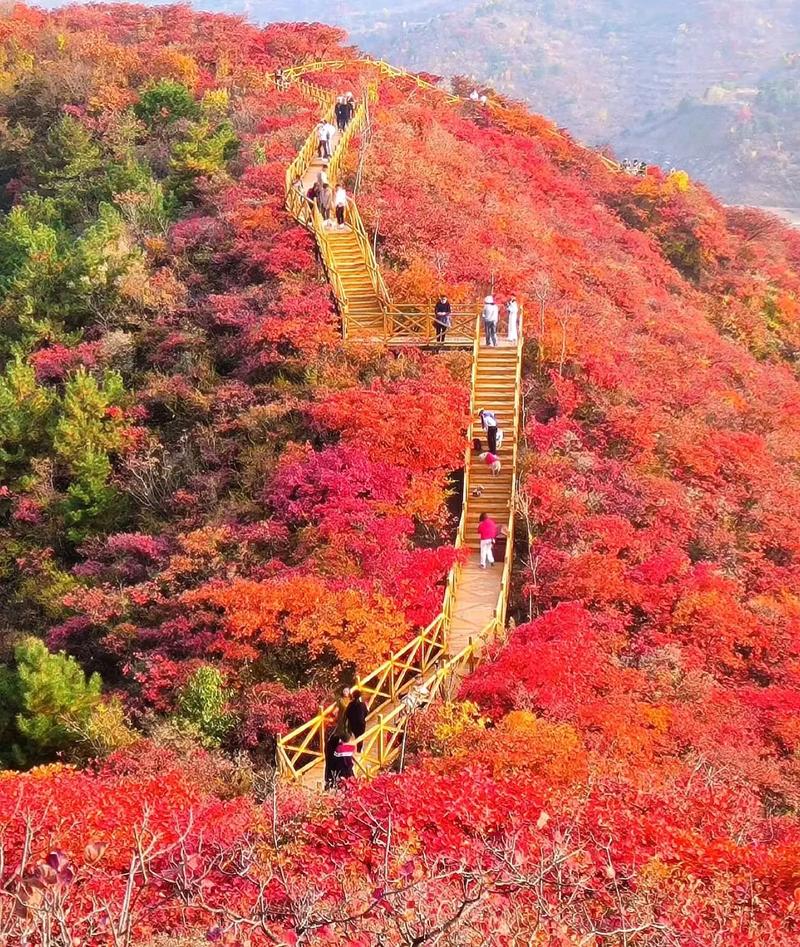 十一月去成都旅游攻略,十一月去成都旅游好吗-第5张图片-微云百科 十一月去成都旅游攻略,十一月去成都旅游好吗-第5张图片-微云百科