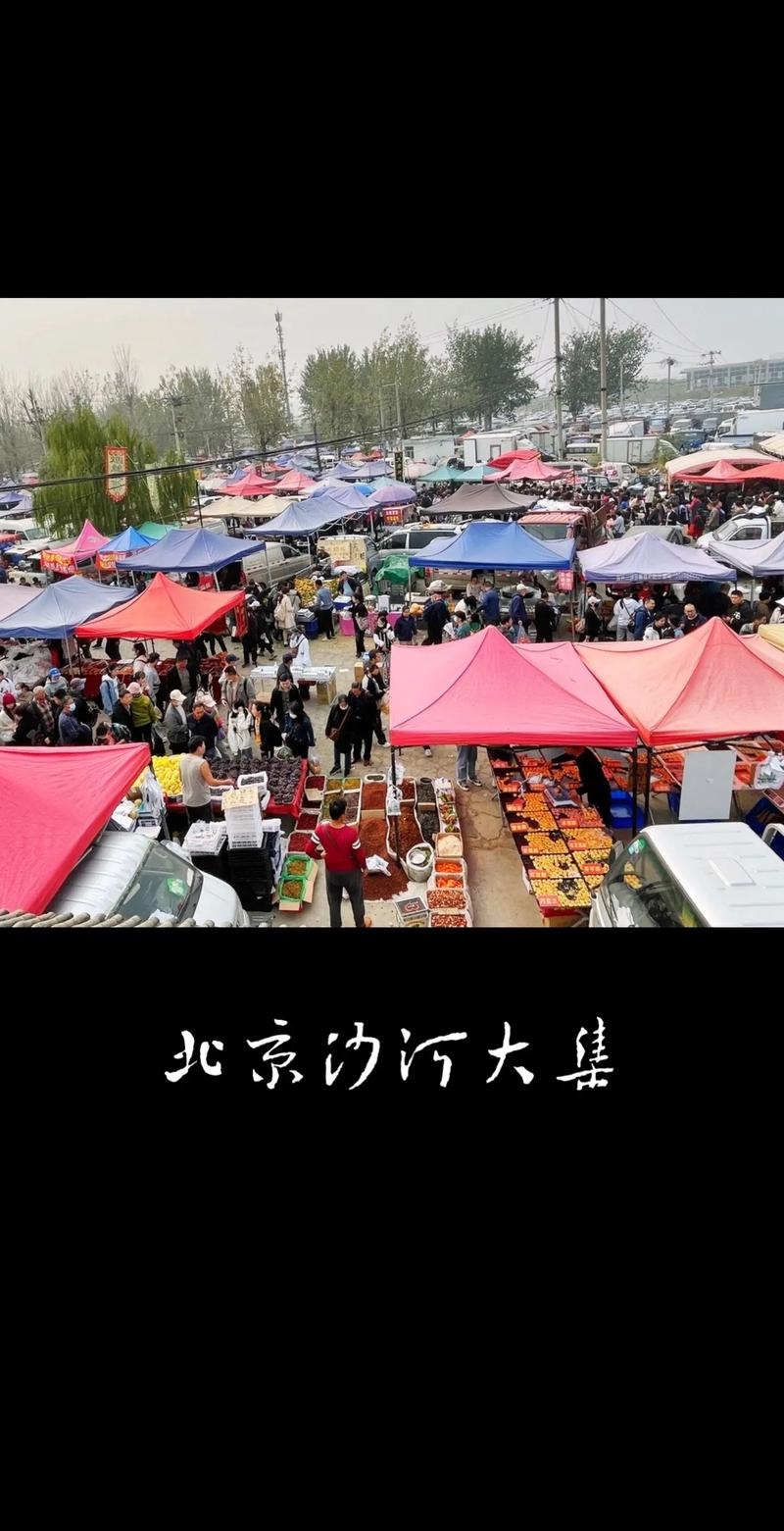 沙河天气预报 - 沙河天气预报40天准确一览表-第2张图片-微云百科 沙河天气预报 - 沙河天气预报40天准确一览表-第2张图片-微云百科