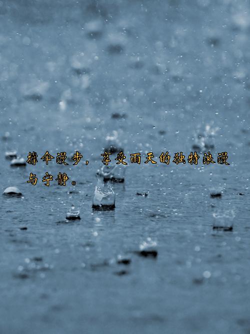 下雨天一个人出行文案短句(下雨天一个人出行文案短句图片)-第5张图片-微云百科 下雨天一个人出行文案短句(下雨天一个人出行文案短句图片)-第5张图片-微云百科