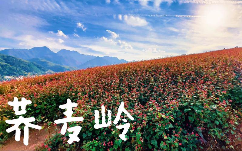 西安周边出行踏青，西安周末踏青好去处 西安本地宝-第2张图片-微云百科