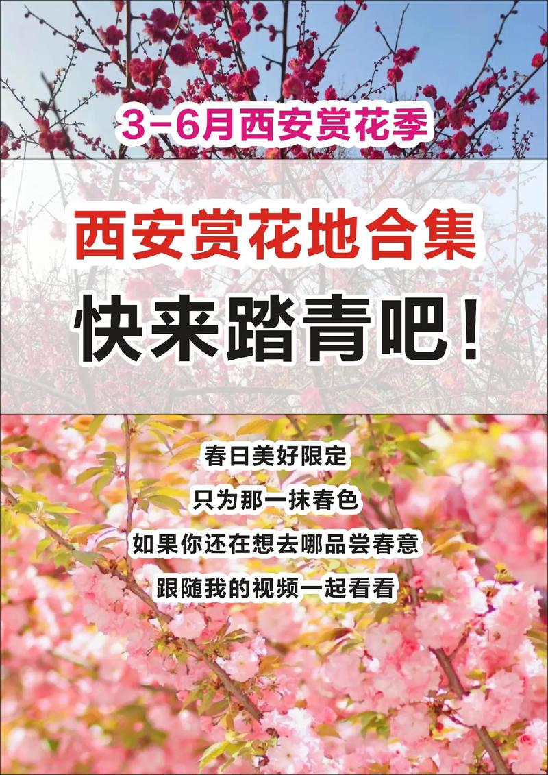 西安周边出行踏青，西安周末踏青好去处 西安本地宝-第4张图片-微云百科