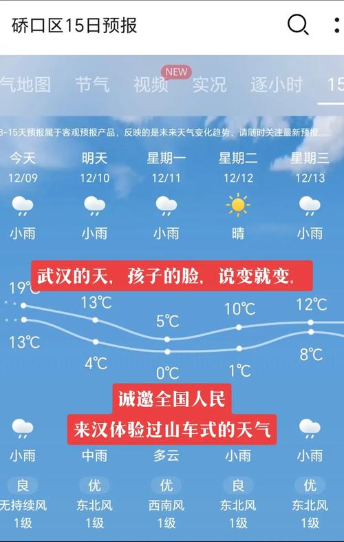 天气武汉,彩云天气武汉-第1张图片-微云百科 天气武汉,彩云天气武汉-第1张图片-微云百科