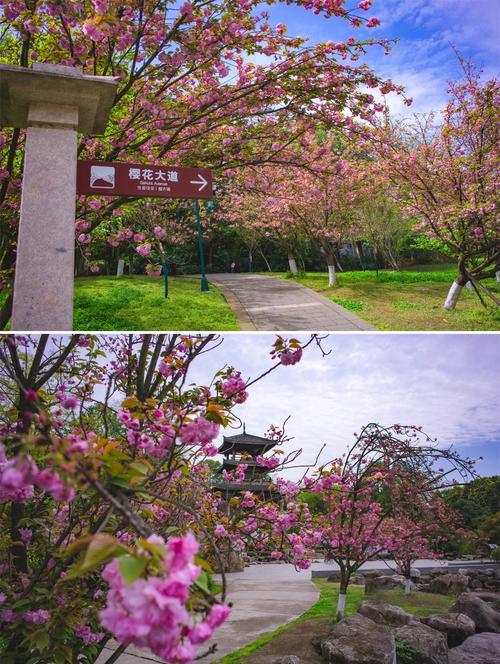 青白江旅游攻略一日游 - 青白江游玩攻略-第2张图片-微云百科 青白江旅游攻略一日游 - 青白江游玩攻略-第2张图片-微云百科