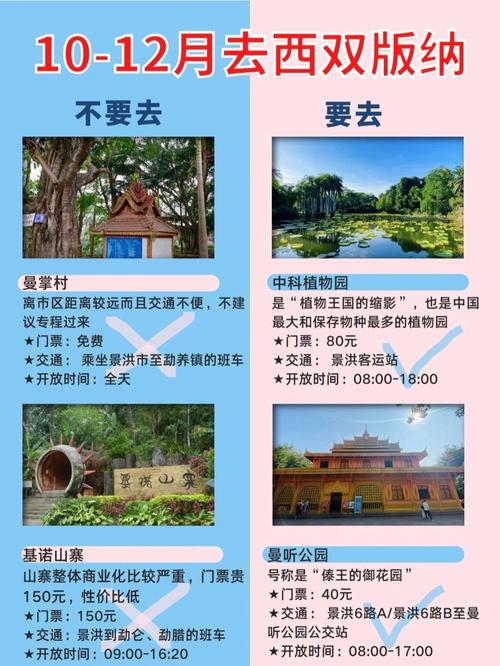 西双版纳出行变化 - 西双版纳 行程-第7张图片-微云百科