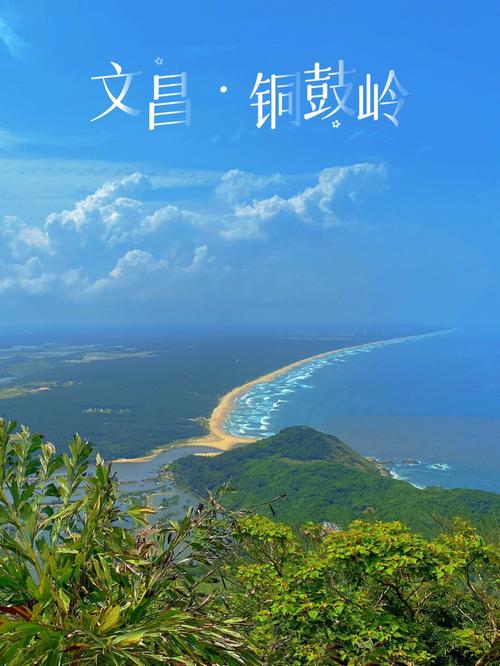 八门湾红树林旅游攻略 - 八门湾红树林门票费用-第6张图片-微云百科 八门湾红树林旅游攻略 - 八门湾红树林门票费用-第6张图片-微云百科