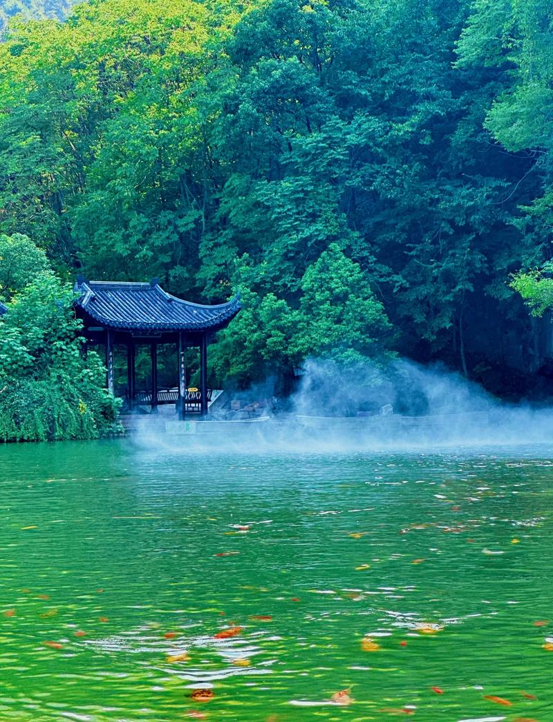 桐庐天气,桐庐天气预报一周7天-第3张图片-微云百科 桐庐天气,桐庐天气预报一周7天-第3张图片-微云百科