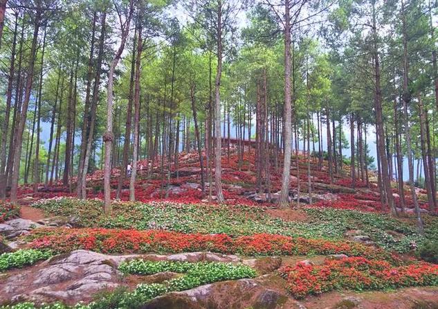 涪陵天气 - 涪陵天气预报15天查询结果-第3张图片-微云百科 涪陵天气 - 涪陵天气预报15天查询结果-第3张图片-微云百科