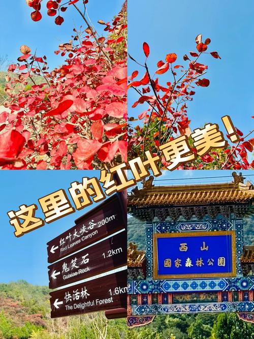 昆明西山公园旅游攻略(昆明西山公园旅游攻略一日游)-第6张图片-微云百科 昆明西山公园旅游攻略(昆明西山公园旅游攻略一日游)-第6张图片-微云百科