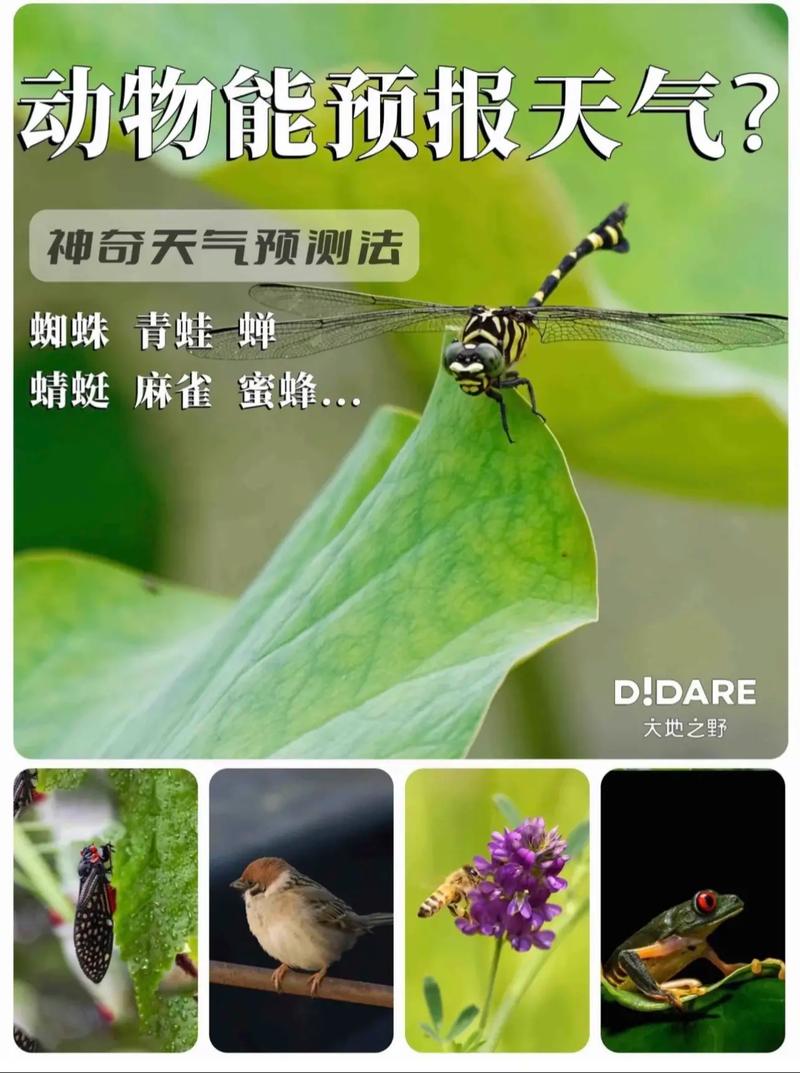 昆山天气预报查询,昆山天气预报查询一周15天-第1张图片-微云百科 昆山天气预报查询,昆山天气预报查询一周15天-第1张图片-微云百科