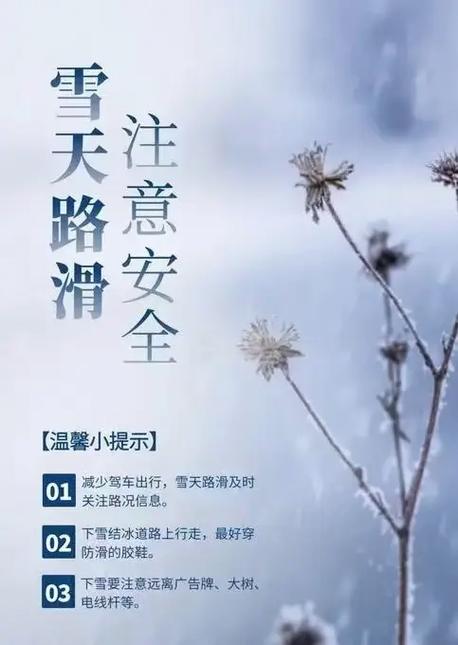下雪天出行的人怎么形容(下雪天出行预兆好不好)-第4张图片-微云百科 下雪天出行的人怎么形容(下雪天出行预兆好不好)-第4张图片-微云百科