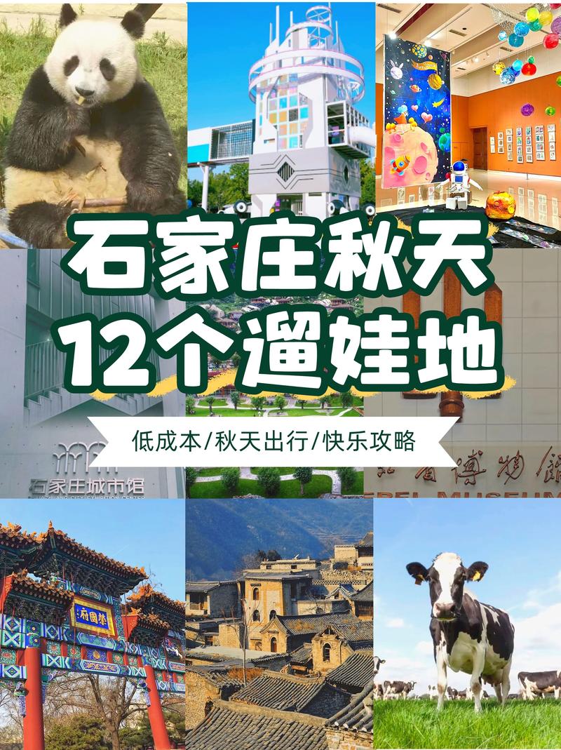 石家庄旅游攻略一日游,石家庄旅游攻略一日游最佳路线-第5张图片-微云百科 石家庄旅游攻略一日游,石家庄旅游攻略一日游最佳路线-第5张图片-微云百科