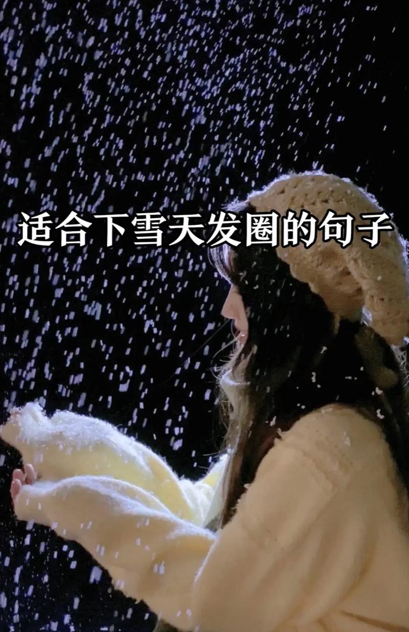 下雪怎么出行搞笑(下雪了出行安全的短信)-第6张图片-微云百科 下雪怎么出行搞笑(下雪了出行安全的短信)-第6张图片-微云百科