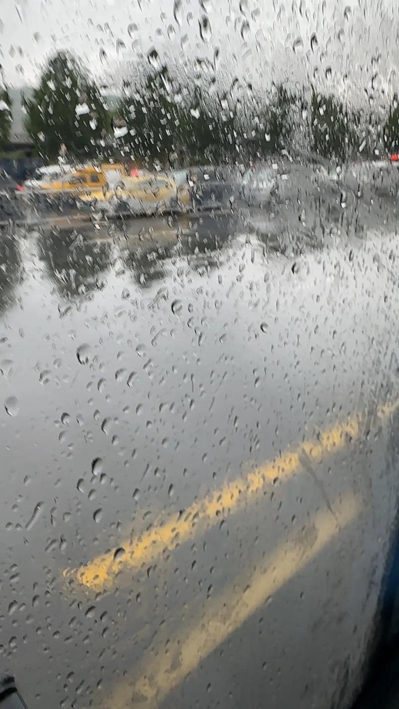 下雨还是要出行(下雨还是要出行英文)-第2张图片-微云百科 下雨还是要出行(下雨还是要出行英文)-第2张图片-微云百科