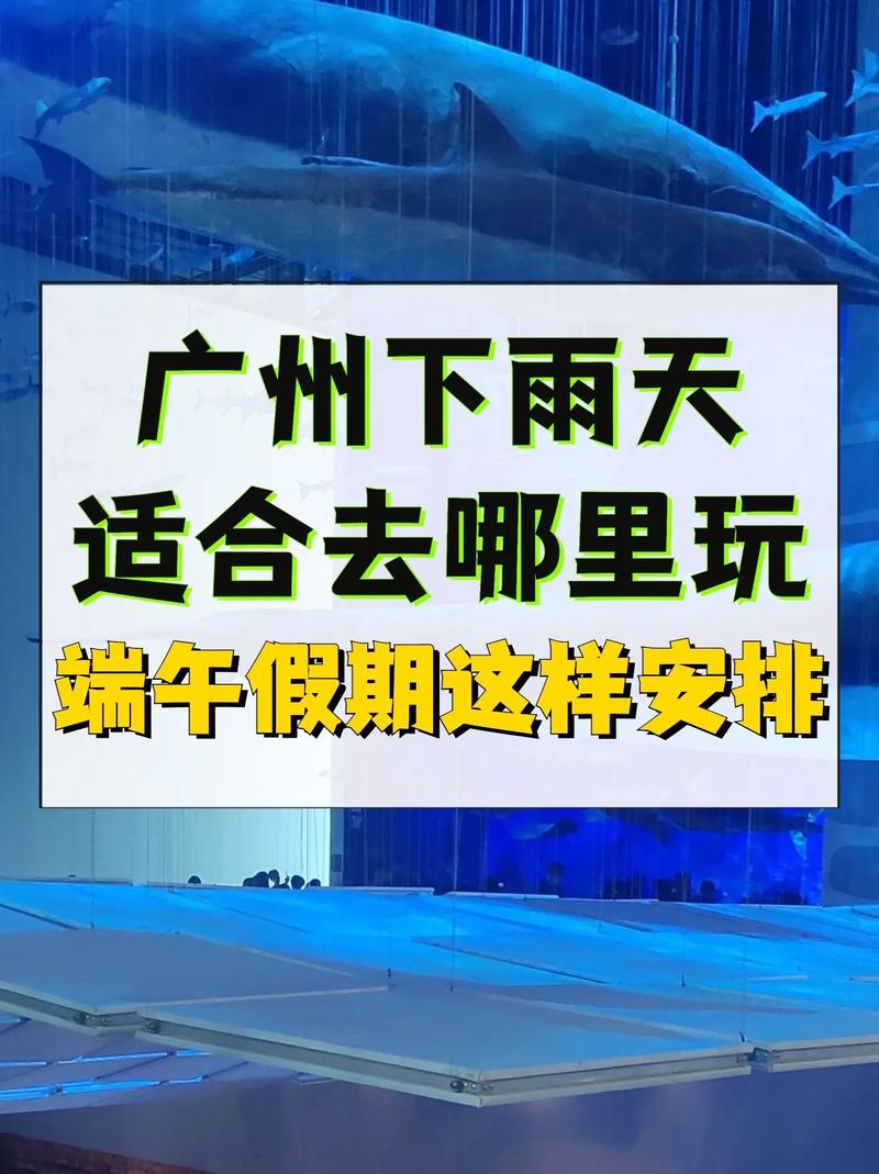下雨还是要出行(下雨还是要出行英文)-第5张图片-微云百科 下雨还是要出行(下雨还是要出行英文)-第5张图片-微云百科