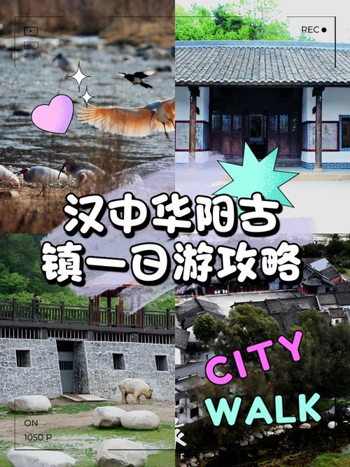 洋县华阳古镇旅游攻略,洋县华阳古镇2021年春节营业吗-第4张图片-微云百科 洋县华阳古镇旅游攻略,洋县华阳古镇2021年春节营业吗-第4张图片-微云百科