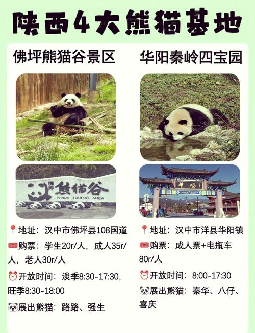 洋县华阳古镇旅游攻略,洋县华阳古镇2021年春节营业吗-第5张图片-微云百科 洋县华阳古镇旅游攻略,洋县华阳古镇2021年春节营业吗-第5张图片-微云百科