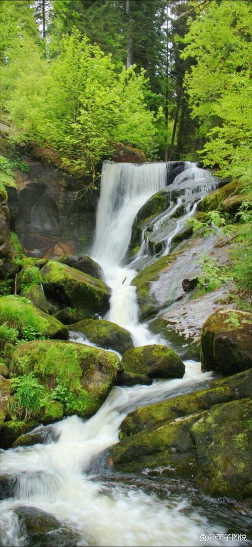永顺天气 - 永顺天气预报30天查询百度-第1张图片-微云百科 永顺天气 - 永顺天气预报30天查询百度-第1张图片-微云百科