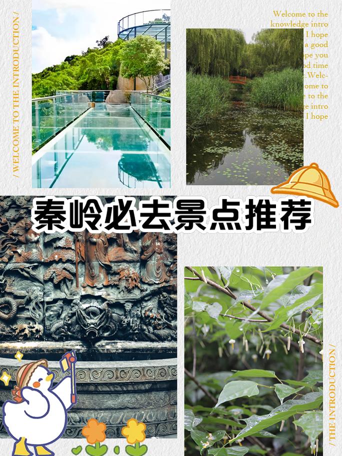 秦岭旅游攻略景点必去，秦岭旅游景点大全 秦岭旅游景点介绍-第6张图片-微云百科