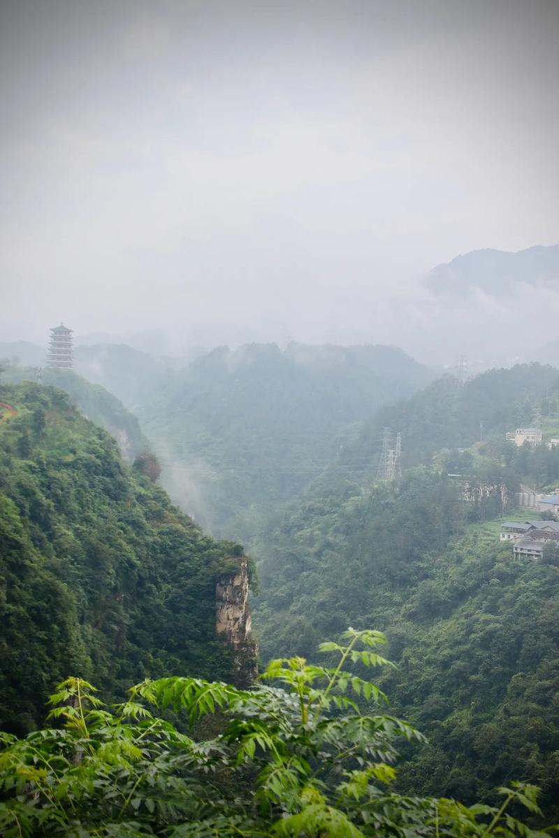 仁怀天气预报,仁怀天气预报15天查询结果表-第4张图片-微云百科 仁怀天气预报,仁怀天气预报15天查询结果表-第4张图片-微云百科