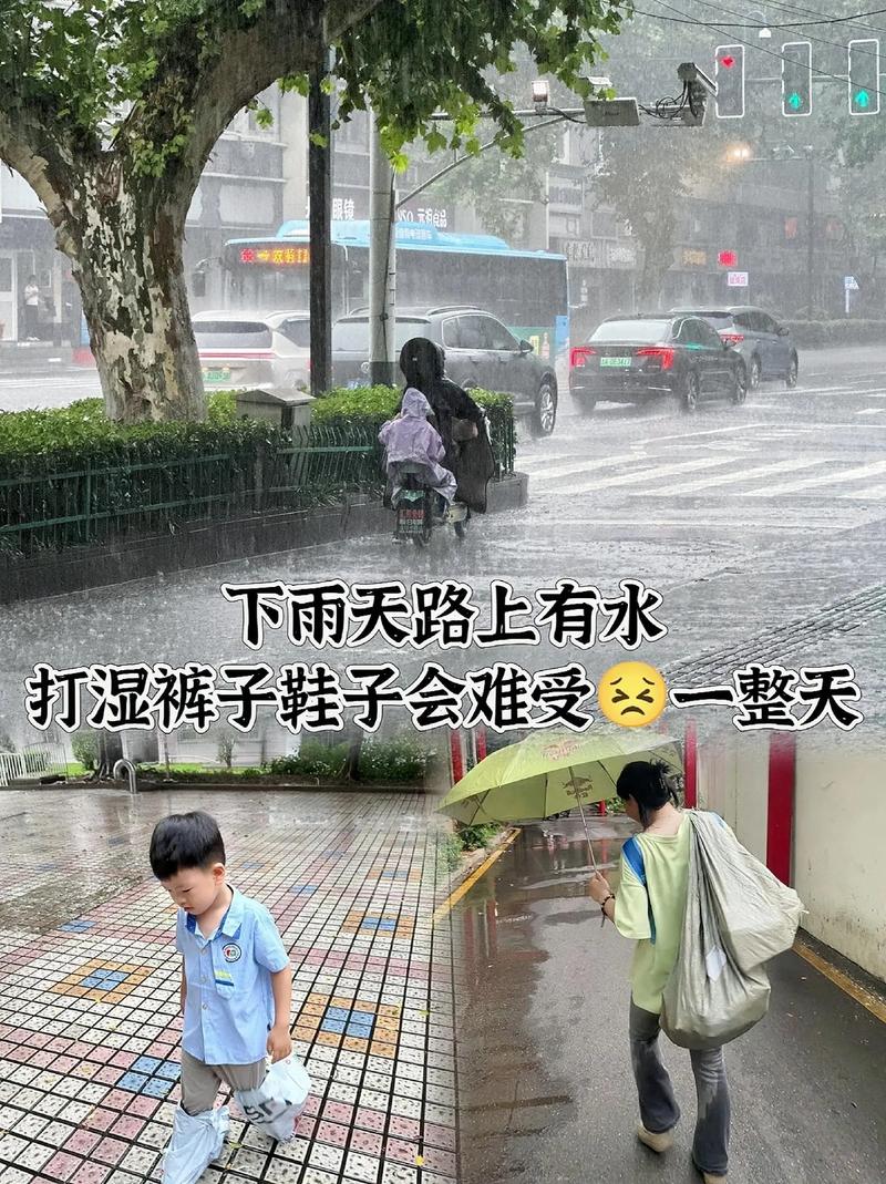 下雨天怎样让父母出行安全,下雨天怎么说服家长出去玩-第1张图片-微云百科 下雨天怎样让父母出行安全,下雨天怎么说服家长出去玩-第1张图片-微云百科