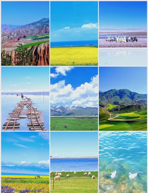 南充到青海湖旅游攻略（南充到青海湖有多少公里）-第2张图片-微云百科