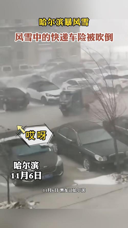 下大雪中午出行安全吗,下大雪中午出行安全吗现在-第7张图片-微云百科 下大雪中午出行安全吗,下大雪中午出行安全吗现在-第7张图片-微云百科