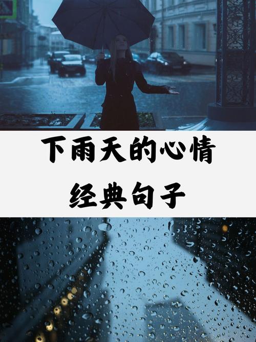 下雨限制了我的出行英文（下雨限制了我的出行英文翻译）-第3张图片-微云百科