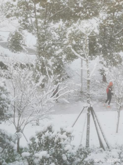 下雪天影响出行 - 下雪可以出行吗-第5张图片-微云百科 下雪天影响出行 - 下雪可以出行吗-第5张图片-微云百科