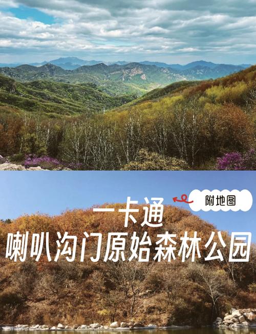 怀柔喇叭沟门旅游攻略 - 怀柔喇叭沟门儿森林景区-第7张图片-微云百科 怀柔喇叭沟门旅游攻略 - 怀柔喇叭沟门儿森林景区-第7张图片-微云百科