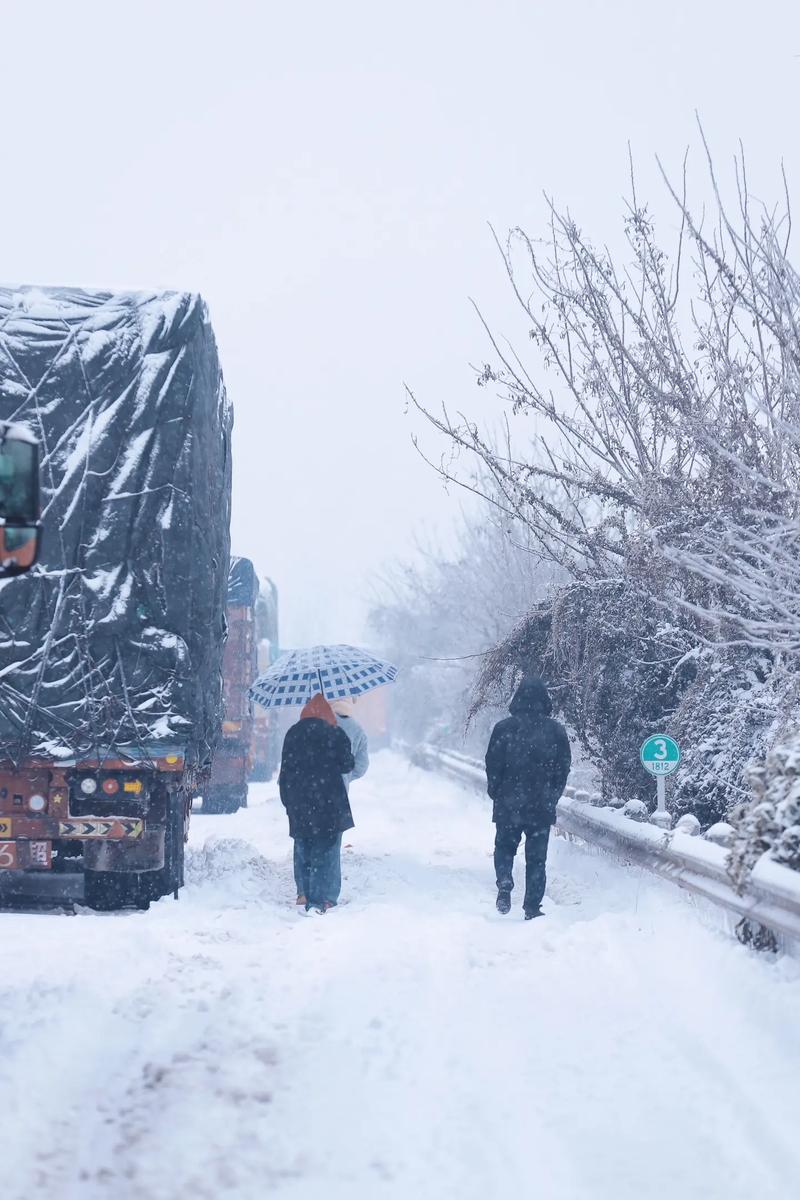 下大雪影响出行(大雪影响出行,有什么建议)-第4张图片-微云百科 下大雪影响出行(大雪影响出行,有什么建议)-第4张图片-微云百科