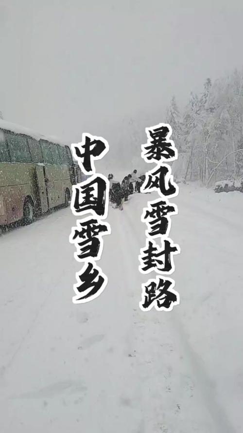 下大雪影响出行吗北京(北京下雪大不大)-第3张图片-微云百科 下大雪影响出行吗北京(北京下雪大不大)-第3张图片-微云百科