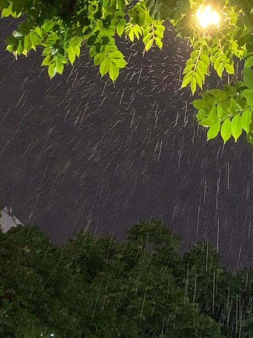 下雨出行安全图(下雨了出行注意安全)-第3张图片-微云百科 下雨出行安全图(下雨了出行注意安全)-第3张图片-微云百科