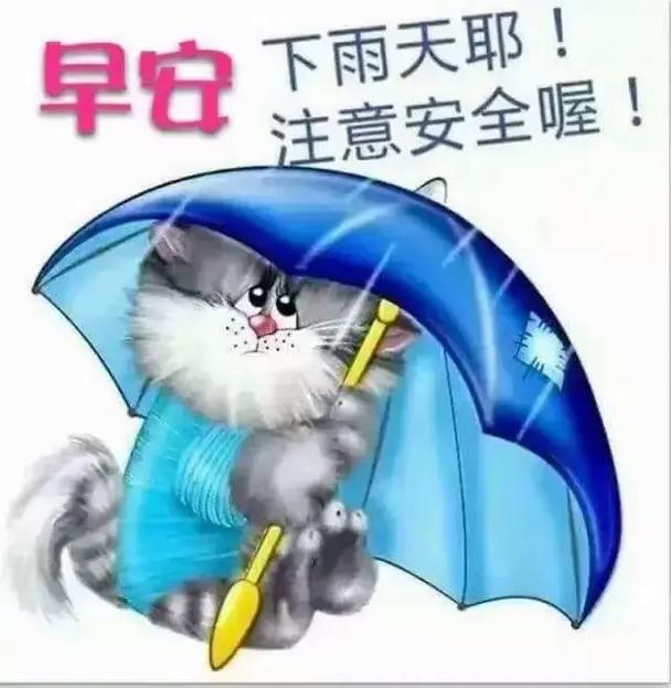 下雨出行安全图(下雨了出行注意安全)-第6张图片-微云百科 下雨出行安全图(下雨了出行注意安全)-第6张图片-微云百科