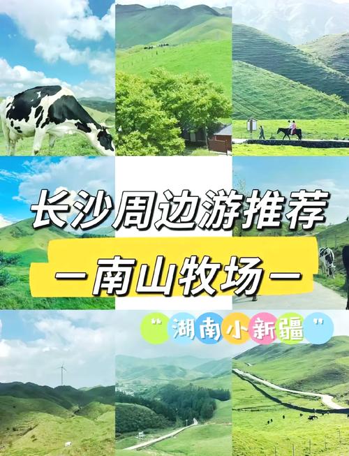 邵阳南山牧场旅游攻略 - 邵阳南山牧场旅游攻略必去景点-第4张图片-微云百科 邵阳南山牧场旅游攻略 - 邵阳南山牧场旅游攻略必去景点-第4张图片-微云百科