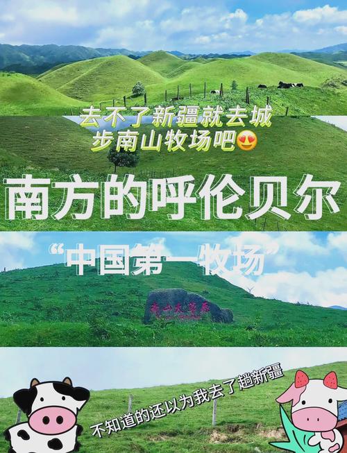 邵阳南山牧场旅游攻略 - 邵阳南山牧场旅游攻略必去景点-第5张图片-微云百科 邵阳南山牧场旅游攻略 - 邵阳南山牧场旅游攻略必去景点-第5张图片-微云百科