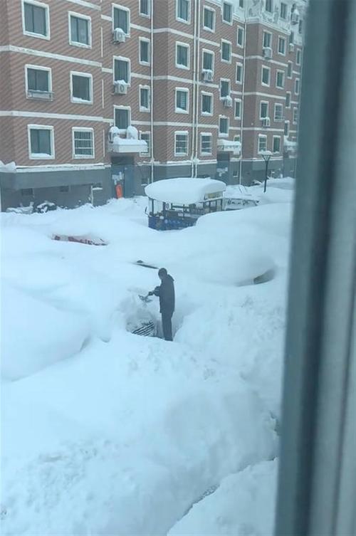 下雪天奇葩出行(下雪天出行的温馨提醒)-第3张图片-微云百科 下雪天奇葩出行(下雪天出行的温馨提醒)-第3张图片-微云百科
