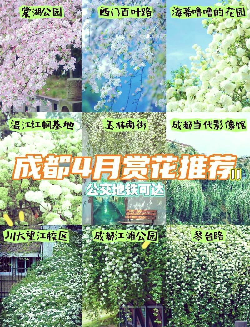 4月成都周边旅游攻略,四月份成都周边旅游景点大全-第4张图片-微云百科 4月成都周边旅游攻略,四月份成都周边旅游景点大全-第4张图片-微云百科