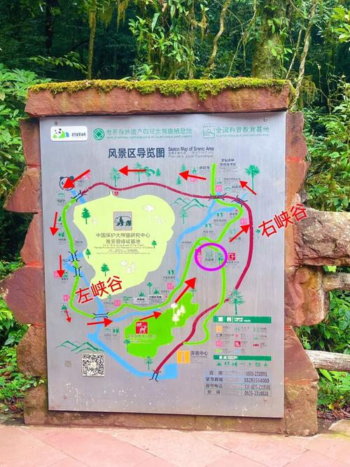 成都到碧峰峡旅游攻略(成都到碧峰峡自驾游攻略)-第1张图片-微云百科 成都到碧峰峡旅游攻略(成都到碧峰峡自驾游攻略)-第1张图片-微云百科