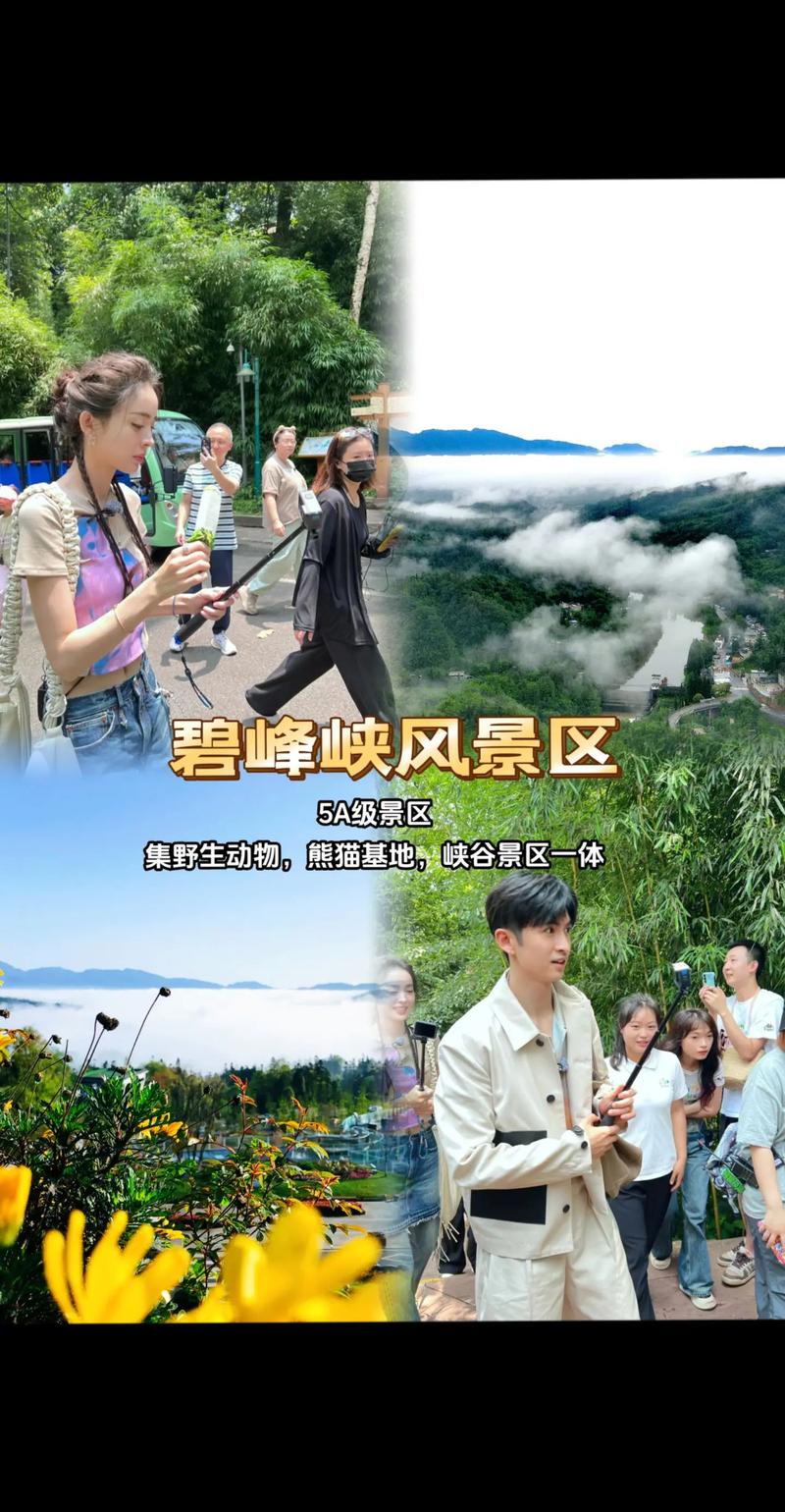 成都到碧峰峡旅游攻略(成都到碧峰峡自驾游攻略)-第2张图片-微云百科 成都到碧峰峡旅游攻略(成都到碧峰峡自驾游攻略)-第2张图片-微云百科