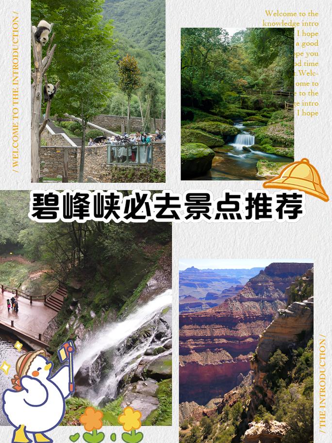 成都到碧峰峡旅游攻略(成都到碧峰峡自驾游攻略)-第3张图片-微云百科 成都到碧峰峡旅游攻略(成都到碧峰峡自驾游攻略)-第3张图片-微云百科