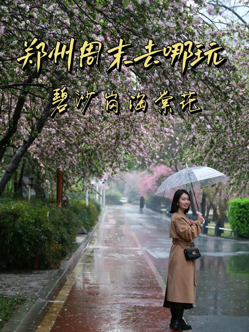 下雨还能出行的地方有哪些 - 下雨还适合出去旅游吗-第1张图片-微云百科 下雨还能出行的地方有哪些 - 下雨还适合出去旅游吗-第1张图片-微云百科