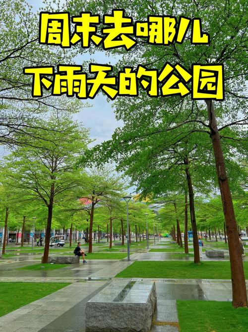 下雨还能出行的地方有哪些 - 下雨还适合出去旅游吗-第6张图片-微云百科 下雨还能出行的地方有哪些 - 下雨还适合出去旅游吗-第6张图片-微云百科