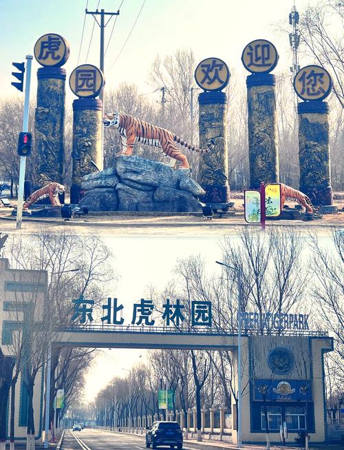 牡丹江海林天气预报（牡丹江海林天气预报怎么样）-第5张图片-微云百科