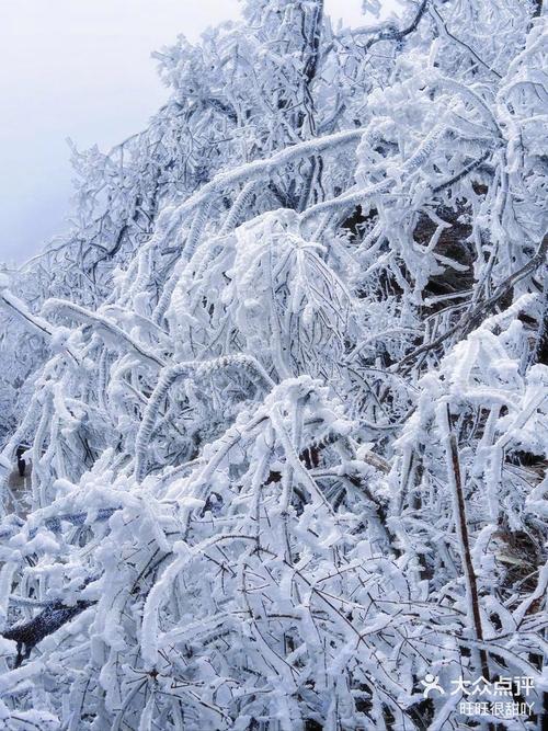 连平县天气预报 - 连平县天气预报15天查询结果表-第4张图片-微云百科