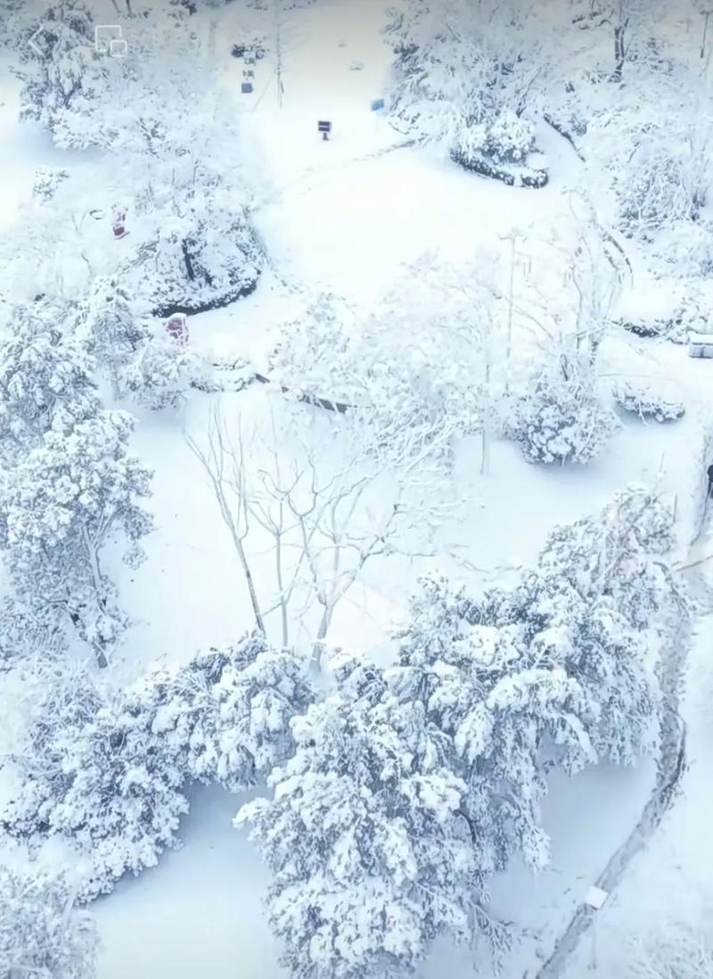 凤凰县天气预报（凤凰县天气预报24小时详情）-第6张图片-微云百科
