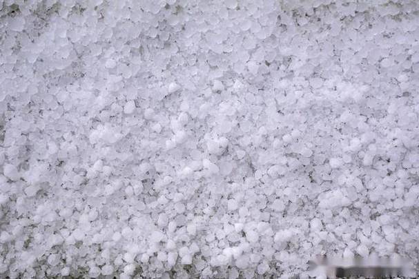 渝北天气(渝北天气预报15天精准重庆)-第5张图片-微云百科 渝北天气(渝北天气预报15天精准重庆)-第5张图片-微云百科